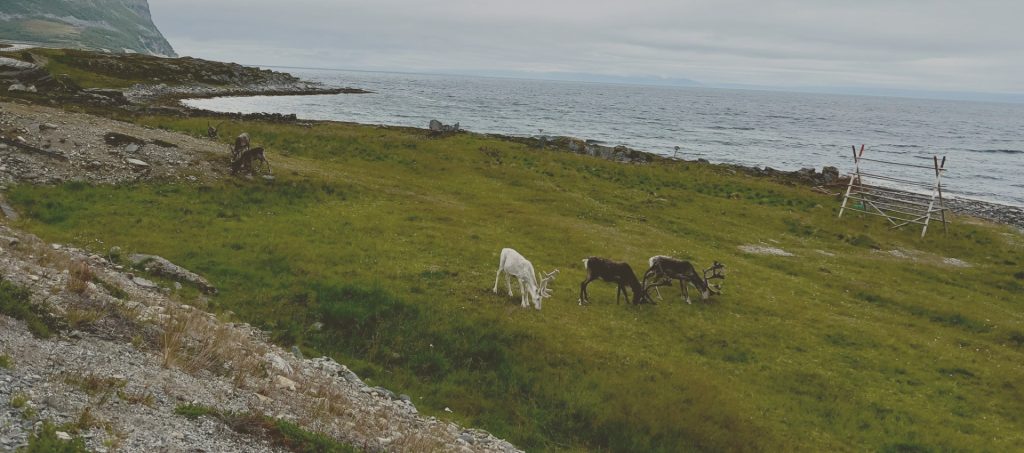 Heading to the Midnight Sun (Day 38)