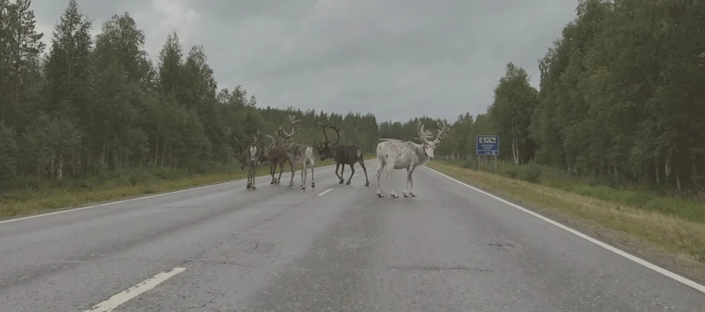 Heading to the Midnight Sun (Day 44)